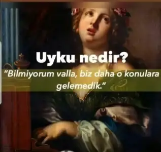Screenshot_20191113_023838.webp