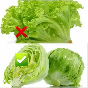 1573760538229.webp