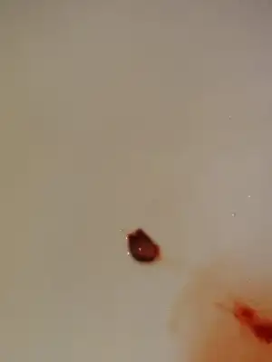IMG-20191116-WA0032.webp