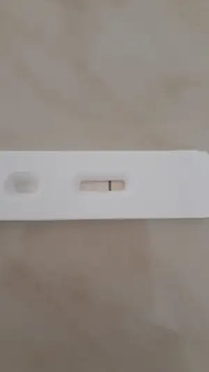 IMG-20191030-WA0001.webp