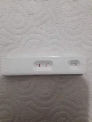 20191129_065941.webp