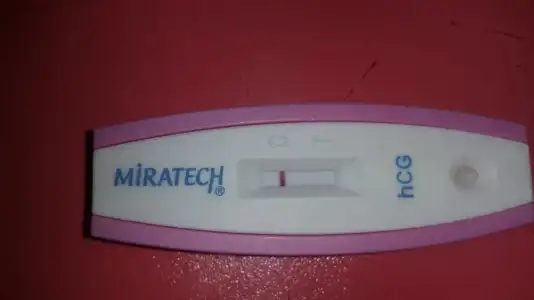 WhatsApp Image 2019-11-30 at 11.07.30.webp