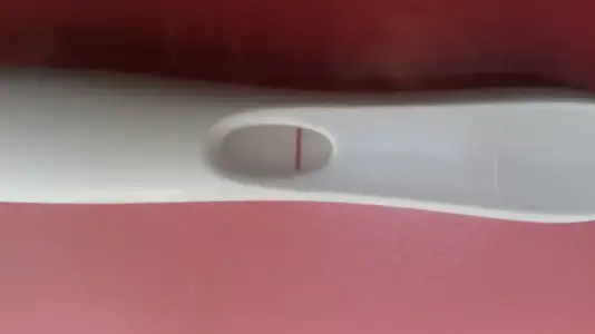 WhatsApp Image 2019-11-30 at 13.23.20.webp