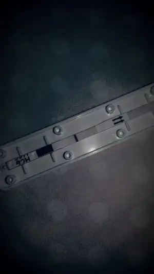 2019-12-05 00.28.35.webp