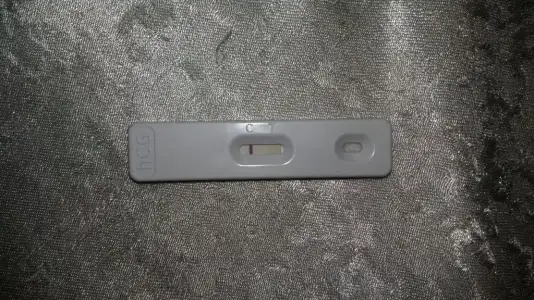 2019-12-05 00.23.39.webp