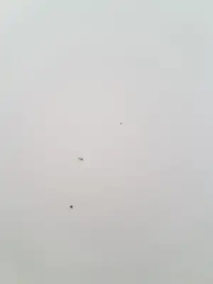20191118_151856.webp
