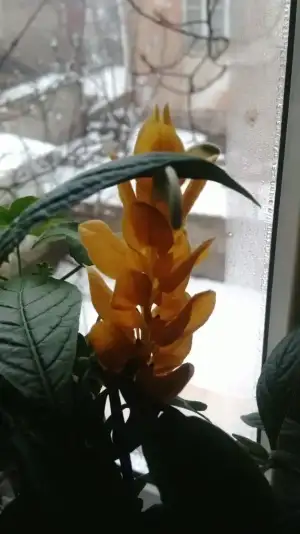 IMG-20191227-WA0009.webp