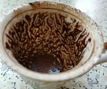 screengrab-20191222-140804-1.webp