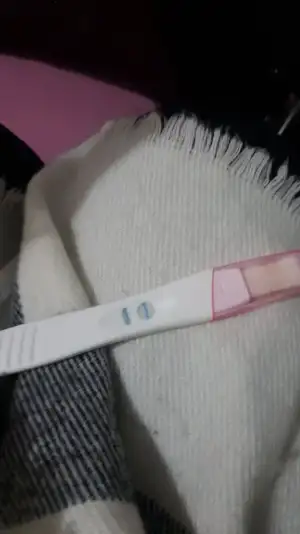 IMG-20191228-WA0001.webp