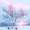 $8941556.webp