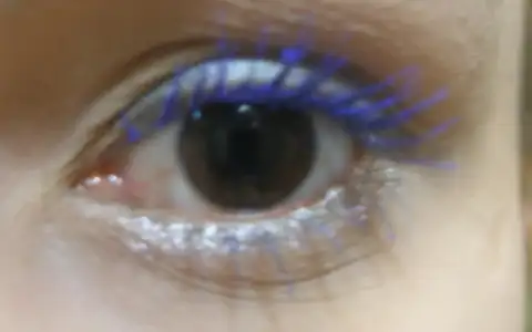 $P1011324.webp