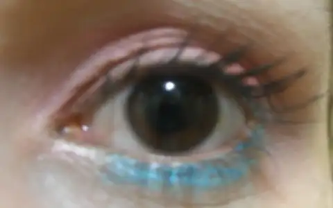 $P1011341.webp