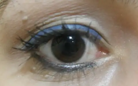 $P1011343.webp