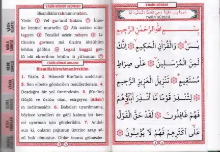 VQUECWETKL519201792414_Nuh-Cep-Yasin (1).webp