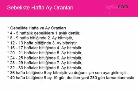 gebelik-haftası-kaçıncı-ay-1-1.webp