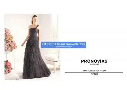 $pronovias91114-Page-1.webp