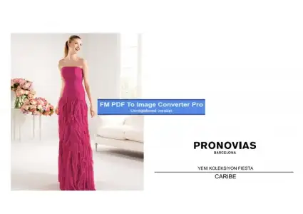 $pronovias137710-Page-1.webp