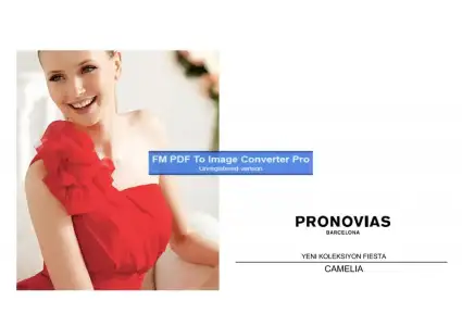$pronovias173608-Page-1.webp