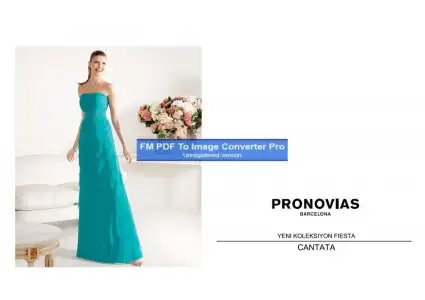 $pronovias338650-Page-1.webp