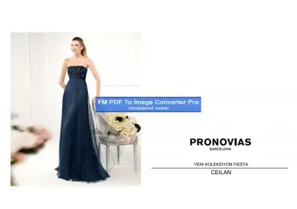 $pronovias354992-Page-1.webp