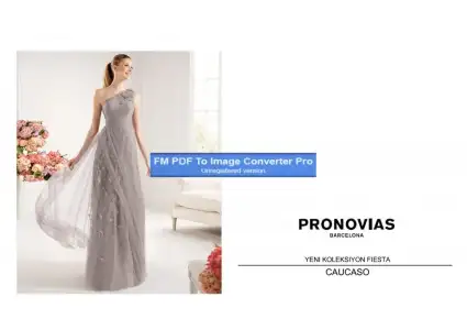 $pronovias384490-Page-1.webp