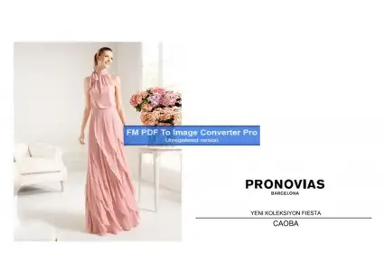 $pronovias470074-Page-1.webp