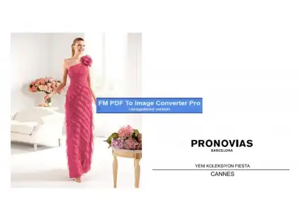 $pronovias503445-Page-1.webp