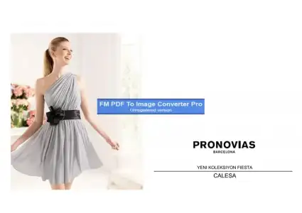 $pronovias531625-Page-1.webp