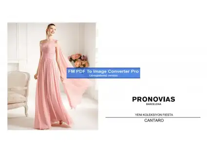 $pronovias564268-Page-1.webp