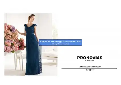 $pronovias575982-Page-1.webp