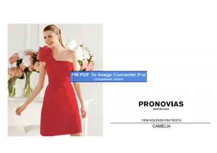 $pronovias576641-Page-1.webp