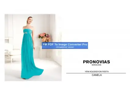 $pronovias732455-Page-1.webp
