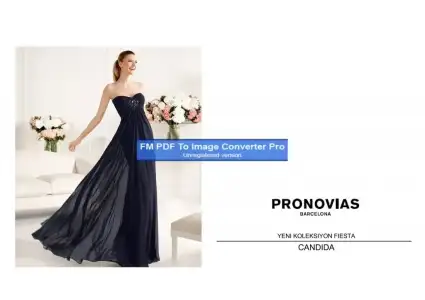 $pronovias790778-Page-1.webp