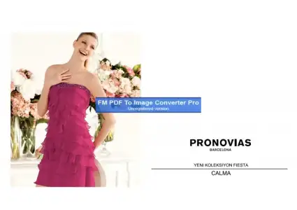 $pronovias892471-Page-1.webp
