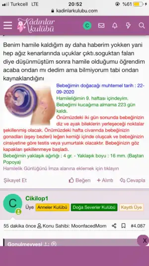 1E593CA1-2ACB-42F3-A054-CA3AD160743B.webp