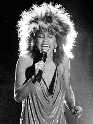 $tina_turner.webp