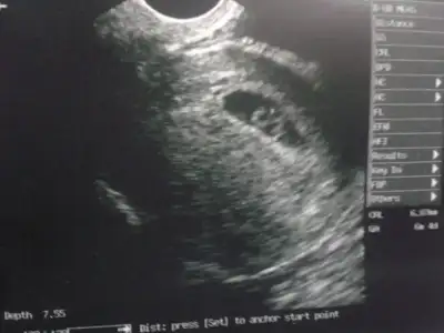 $2012-04-21 23.46.40.webp