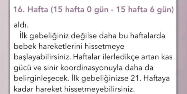 343DFCE0-065E-49C4-B1D0-2D19A1DCE7D5.webp
