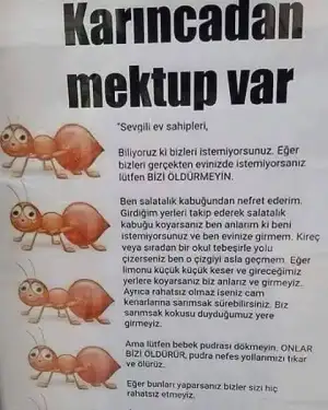 tumblr_o9hqjjFkVZ1sqwlqgo1_500.webp