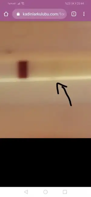 Screenshot_20200302_204442.webp