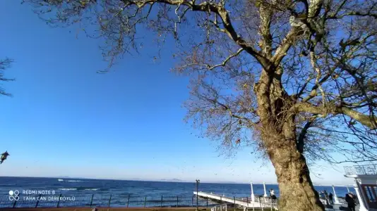 IMG-20200304-WA0007.webp