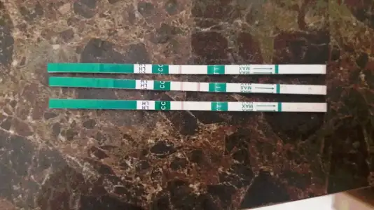 2020-03-09 12.39.27.webp