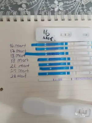 15855050012606140511359709704036.webp