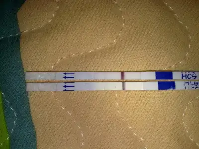 $26042012257.webp