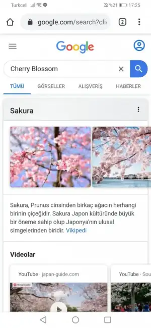 Screenshot_20200418_172542_com.android.chrome.webp