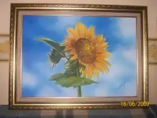 $102_0692.webp