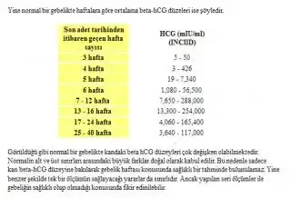$beta değerleri 2.webp