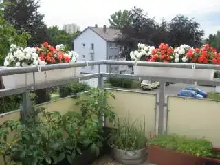 $Juni 2009 060.webp