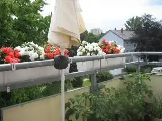 $Juni 2009 061.webp