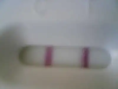 $07042012456.webp
